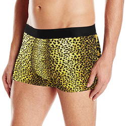 leopard print boxer briefs