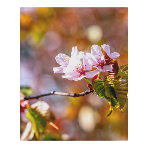 sakura cherry blossom flower spring flora pink 3-Piece Bedding Set