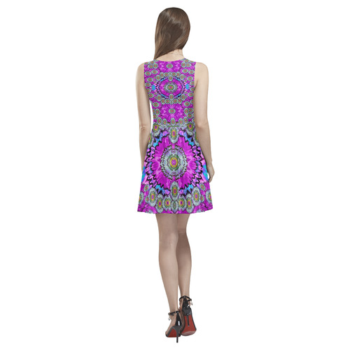 Spring time in colors and decorative fantasy bloom Thea Sleeveless Skater Dress(Model D19)