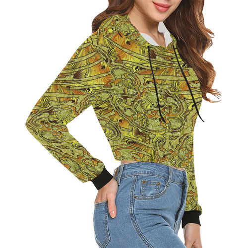 Unique abstract Mix 2C by FeelGood All Over Print Crop Hoodie for Women (Model H22)