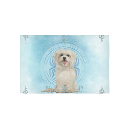 Cute havanese puppy Area Rug 5'x3'3''