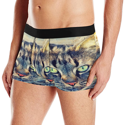 cat Simba Men's All Over Print Boxer Briefs (Model L10)