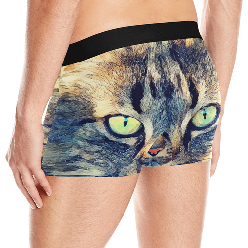 cat Simba Men's All Over Print Boxer Briefs (Model L10)