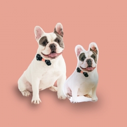 Photo Shaped Pillows (40cm/16“)