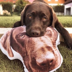 Photo Shaped Pillows (50cm/20“)