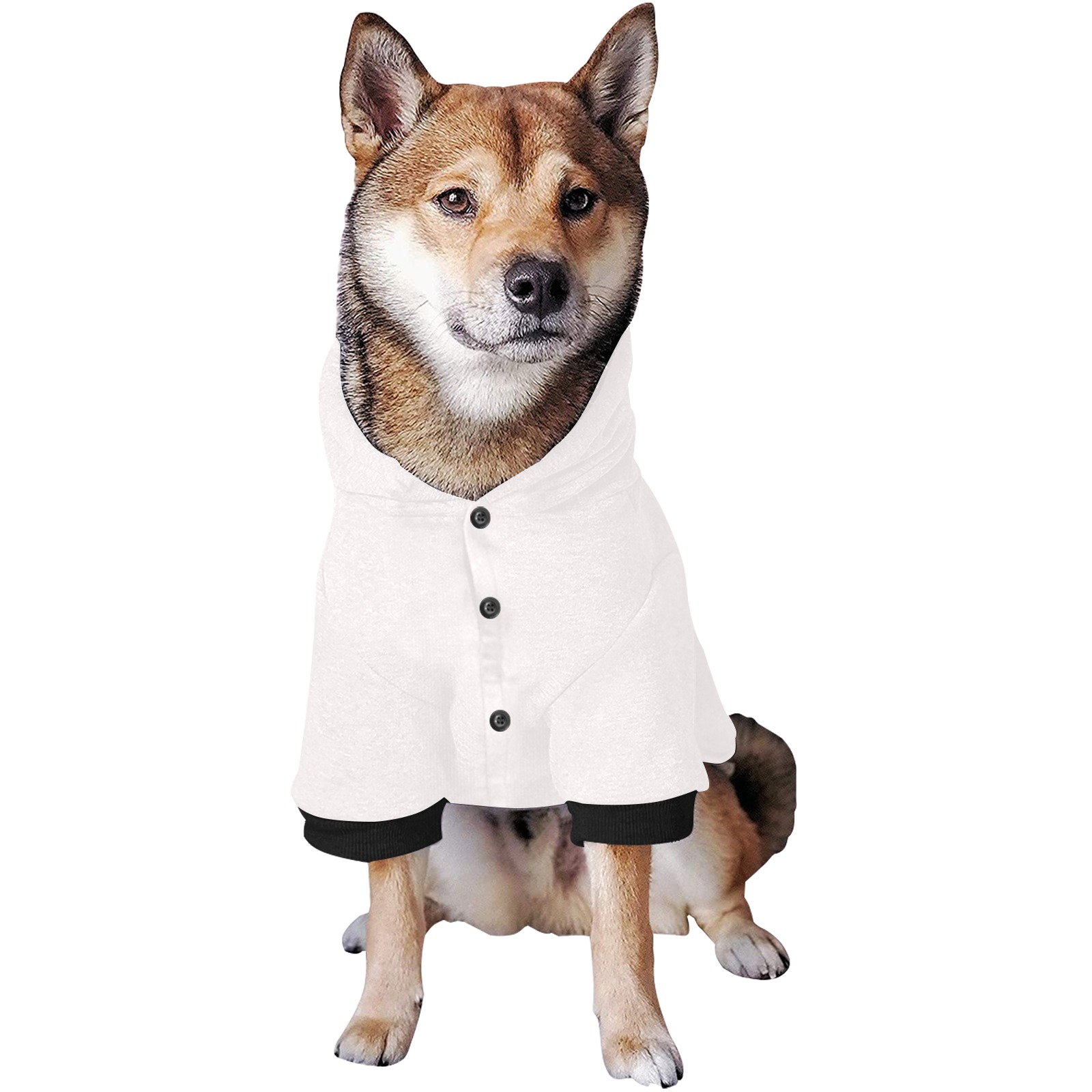 Pet Dog Hoodie