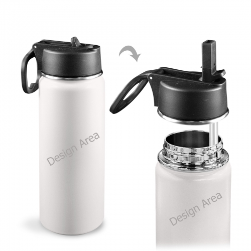 Insulated Water Bottle with Straw Lid (18oz)