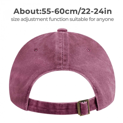 Curved Denim Trucker Hat