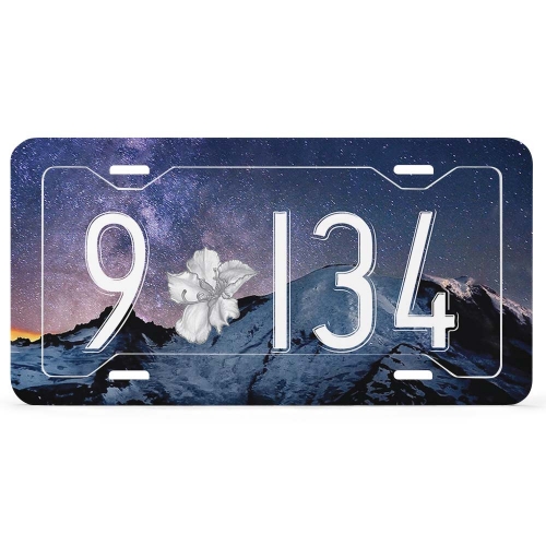 License Plate (4 Thin Holes)