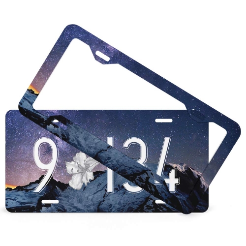 License Plate (4 Thin Holes)