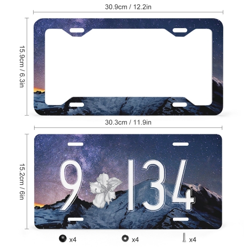License Plate (4 Thin Holes)
