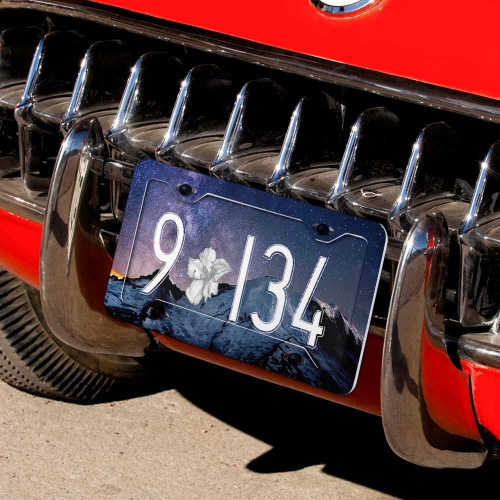 License Plate (4 Thin Holes)