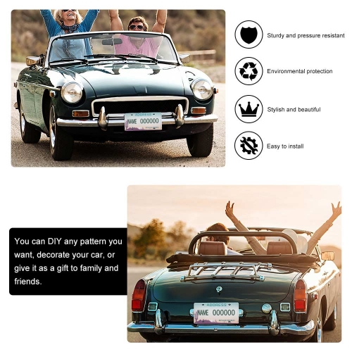 License Plate (Iron)