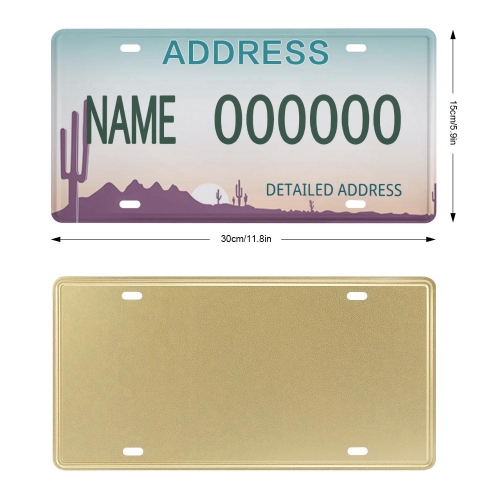 License Plate (Iron)