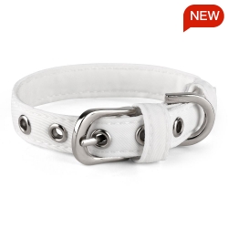Pet Collar (Q025)
