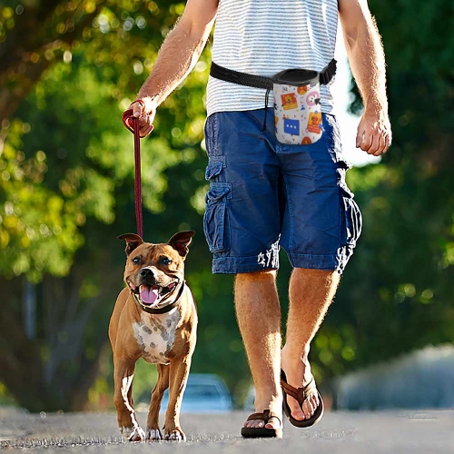 Pet Training Package
