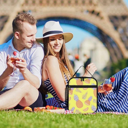Portable Insulated Lunch Bag