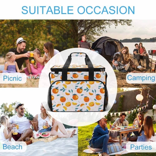 Camping Cooler Bag-A019