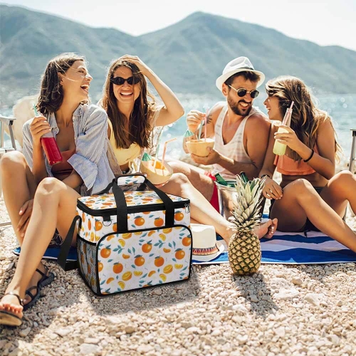 Camping Cooler Bag-A019