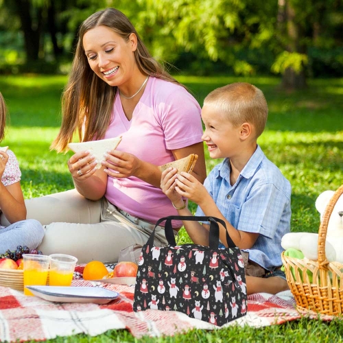 Portable Lunch Bag