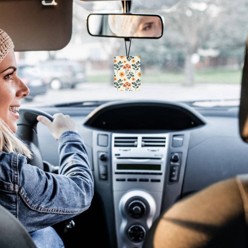 Car Air Freshener (Five Pcs)(Rectangle)