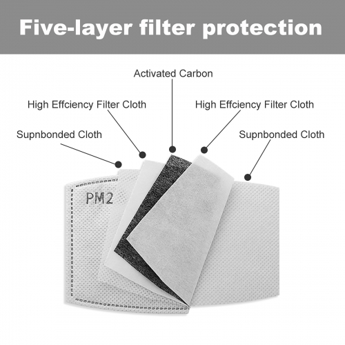 Dust Mask with Filters