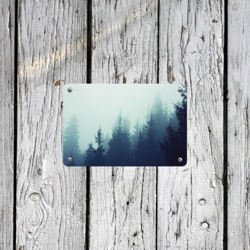 Metal Sign 12"x8"