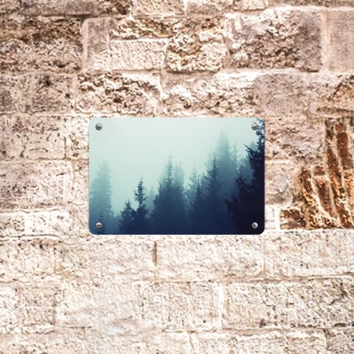 Metal Sign 12"x8"