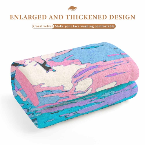 Coral Fleece Towel