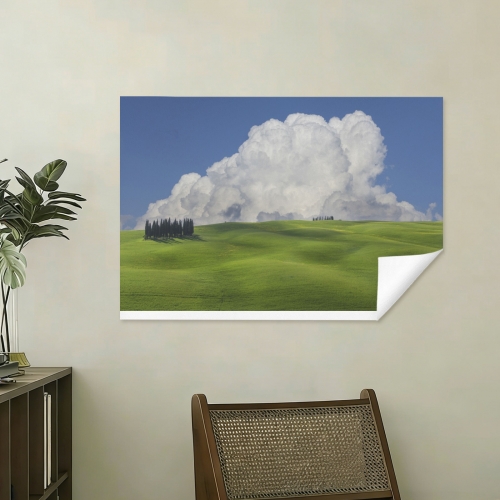 Art Print 30×20inch