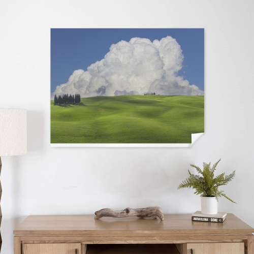 Art Print 32×24inch