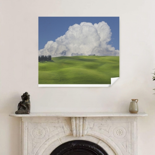 Art Print 24×20inch