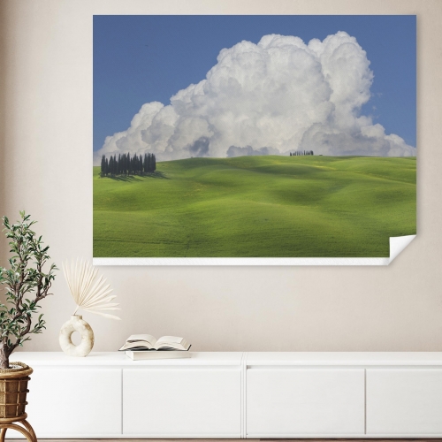 Art Print 48×36inch