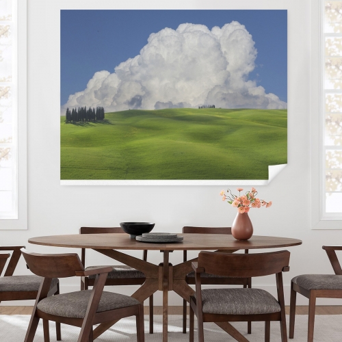 Art Print 48×36inch