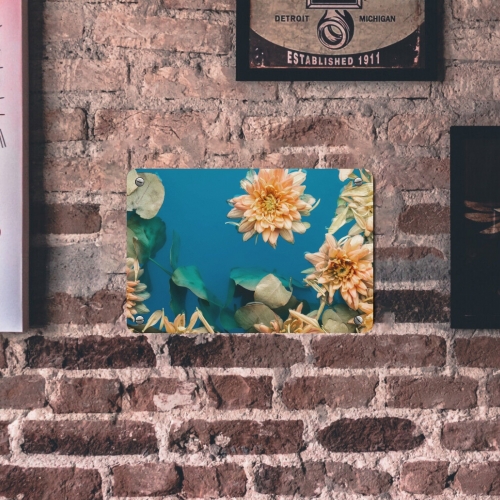 Metal Sign 12"x8" (Set of 2)