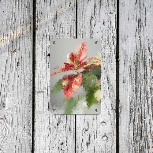 Metal Sign 8"x12" (Set of 2)