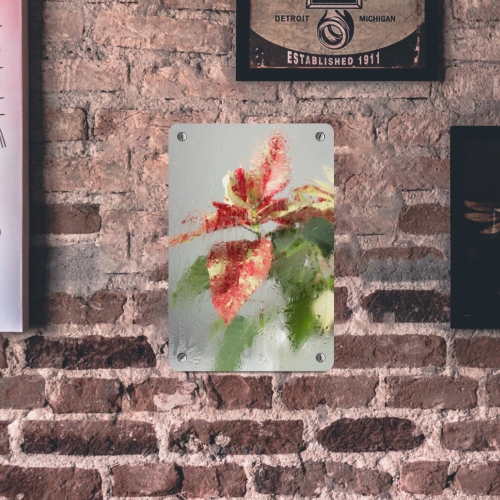 Metal Sign 8"x12" (Set of 2)