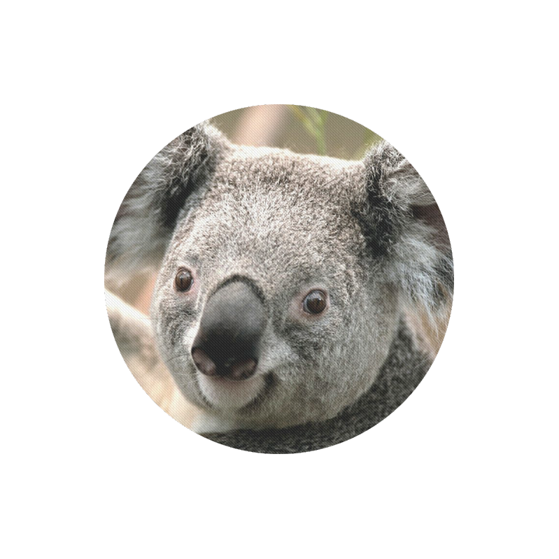 Koala Animal Round Mousepad