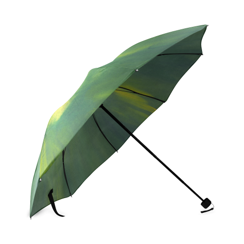 Ludicrous Speed Umbrella Foldable Umbrella (Model U01)