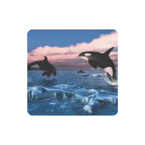 Killer Whales In The Arctic Ocean Women's Clutch Wallet (Model 1637)