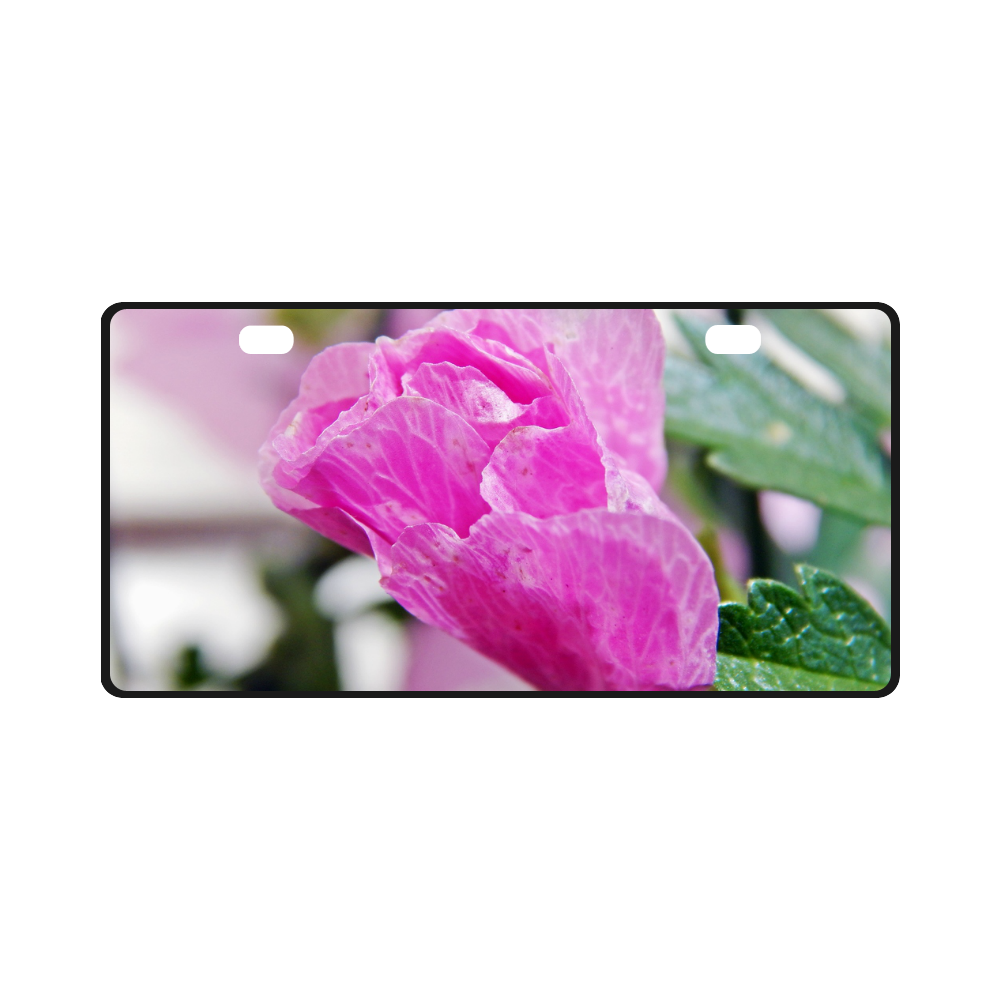 Musk Mallow License Plate