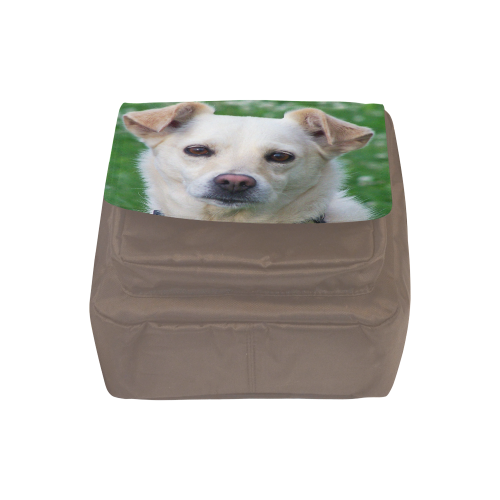 Dog face close-up Crossbody Nylon Bags (Model 1633)