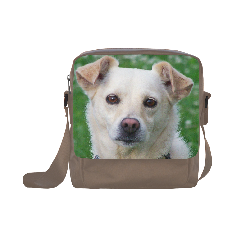 Dog face close-up Crossbody Nylon Bags (Model 1633)