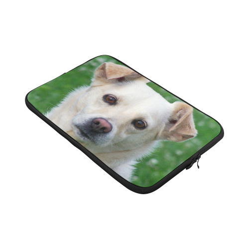 Dog face close-up Macbook Pro 17''