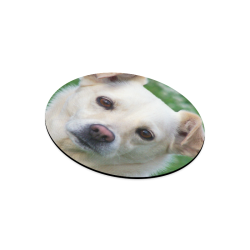 Dog face close-up Round Mousepad