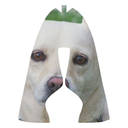 Dog face close-up Men’s Running Shoes (Model 020)