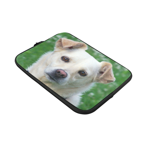 Dog face close-up Macbook Pro 15''