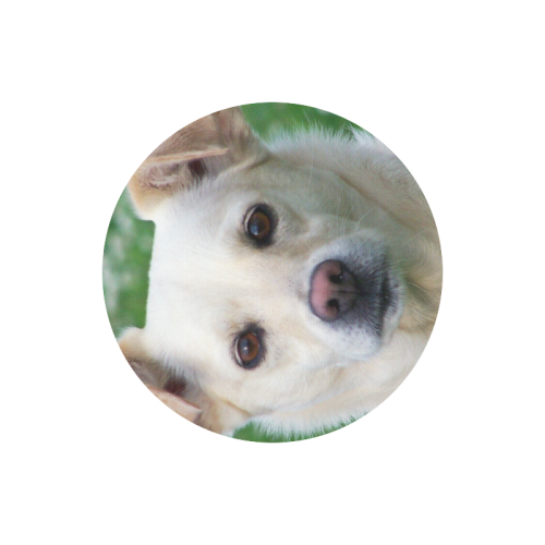 Dog face close-up Round Mousepad