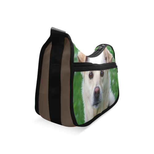 Dog face close-up Crossbody Bags (Model 1616)