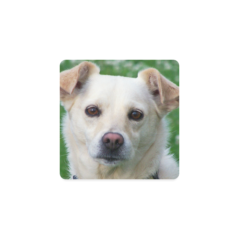 Dog face close-up Square Coaster